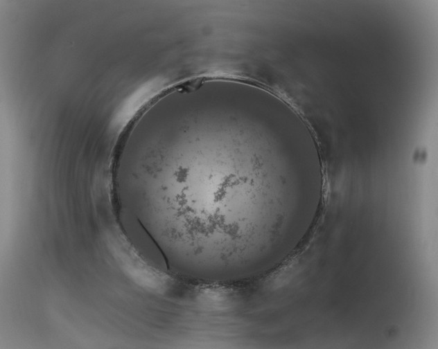 X0000113270199200909171721