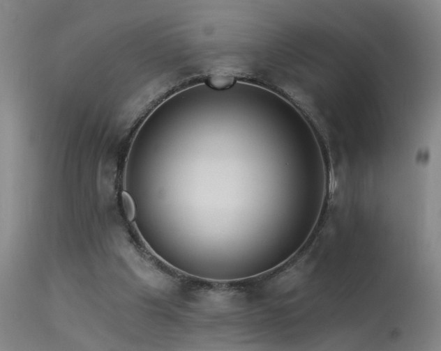 X0000113270201200909171721