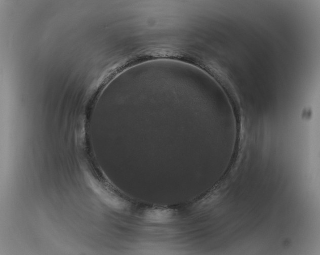 X0000113270202200909171721