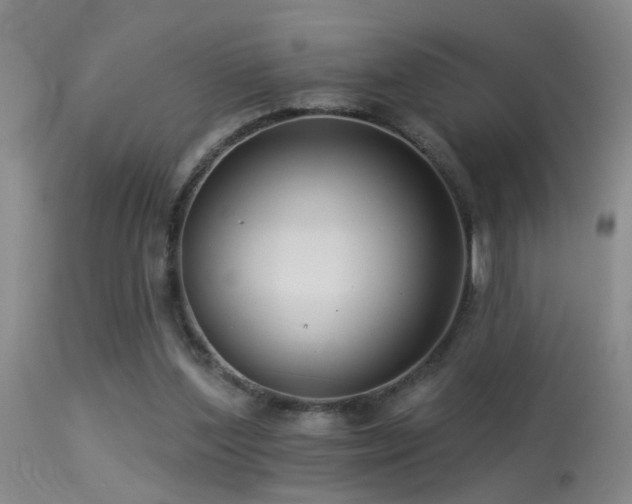 X0000113270204200909171721