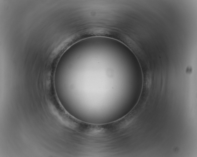 X0000113270206200909171721