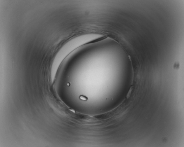 X0000113270215200909171721