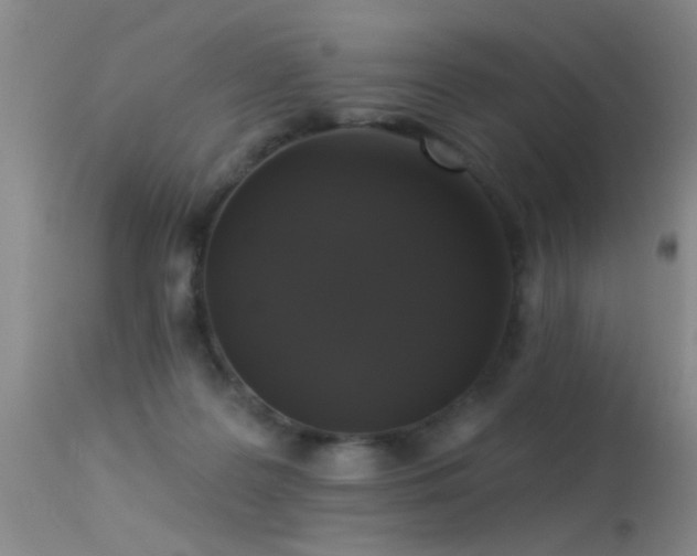 X0000113270219200909171721
