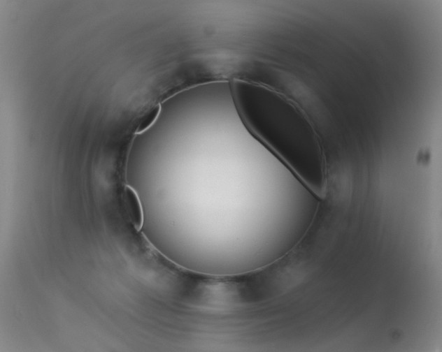X0000113270221200909171721