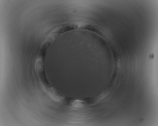 X0000113270222200909171721
