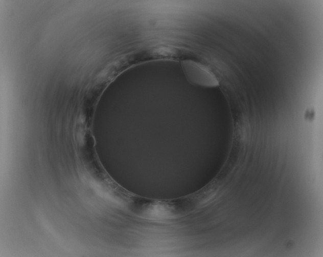 X0000113270223200909171721