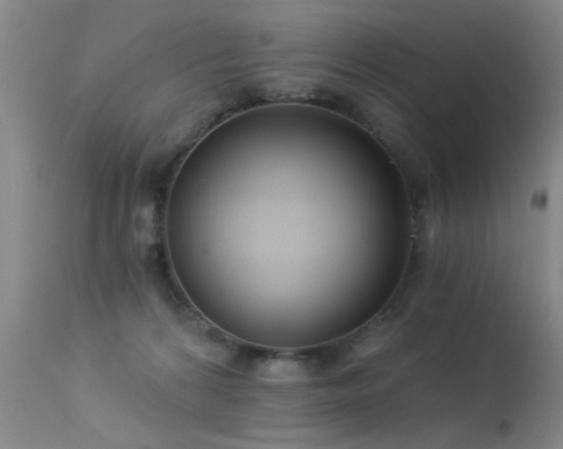 X0000113270224200909171721