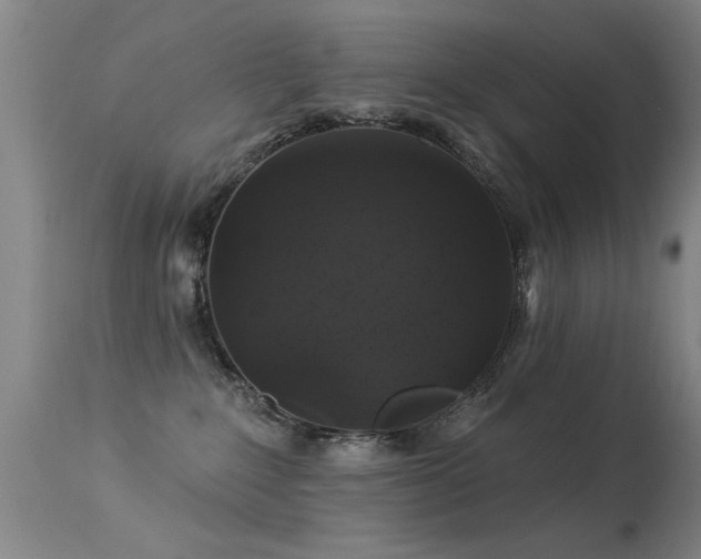 X0000113270235200909171721
