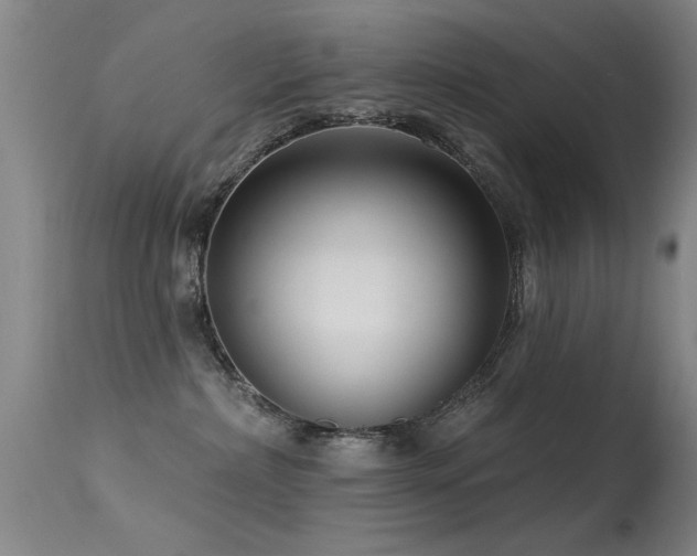 X0000113270236200909171721