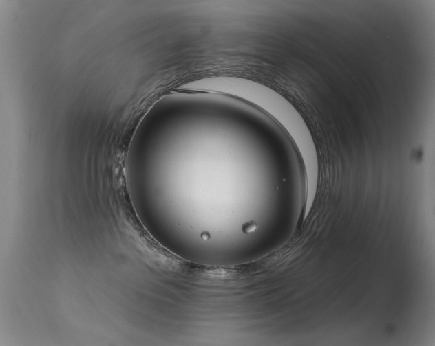 X0000113270237200909171721
