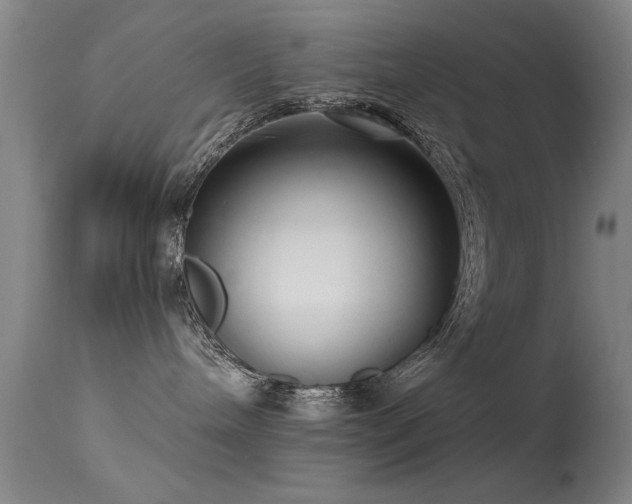 X0000113270240200909171721