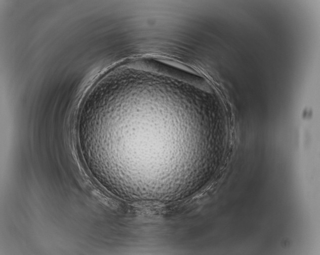 X0000113270241200909171720