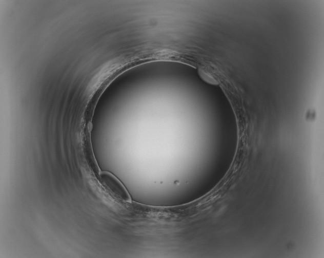 X0000113270242200909171720