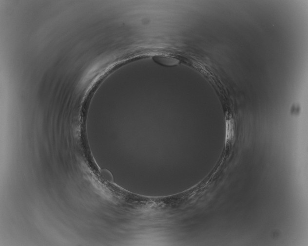 X0000113270243200909171720