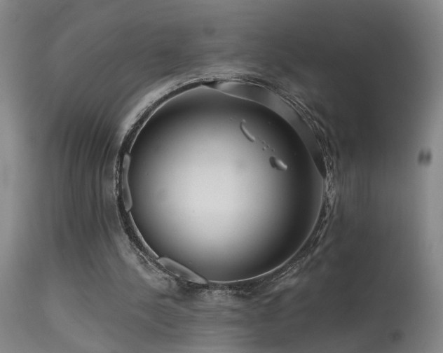X0000113270244200909171720