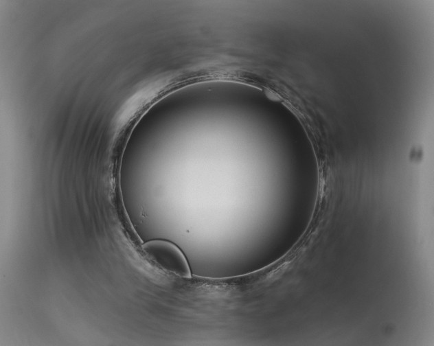 X0000113270245200909171720