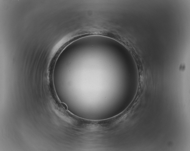 X0000113270246200909171720