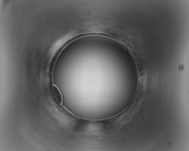 X0000113270248200909171720