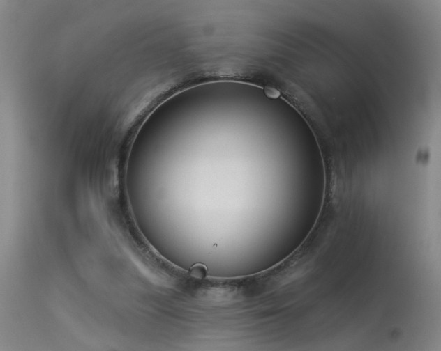 X0000113270251200909171720