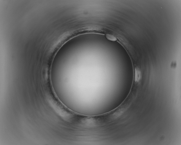 X0000113270253200909171720