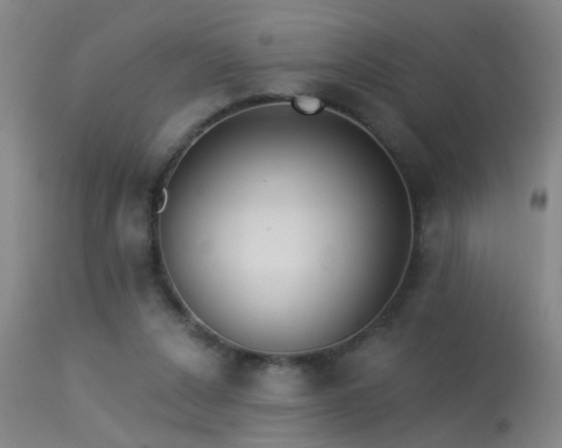 X0000113270256200909171720