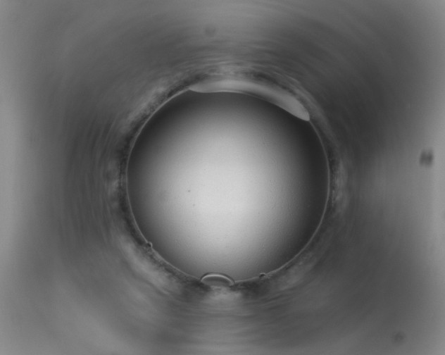 X0000113270257200909171720