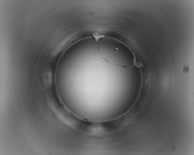 X0000113270262200909171720