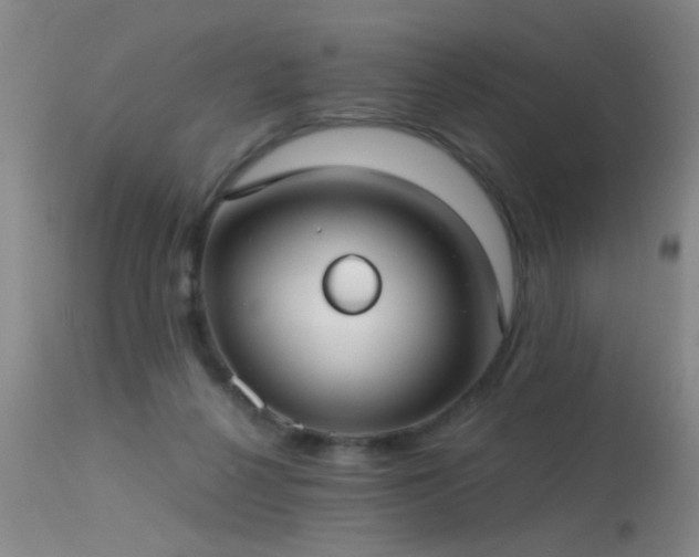 X0000113270264200909171720