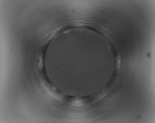 X0000113270267200909171720