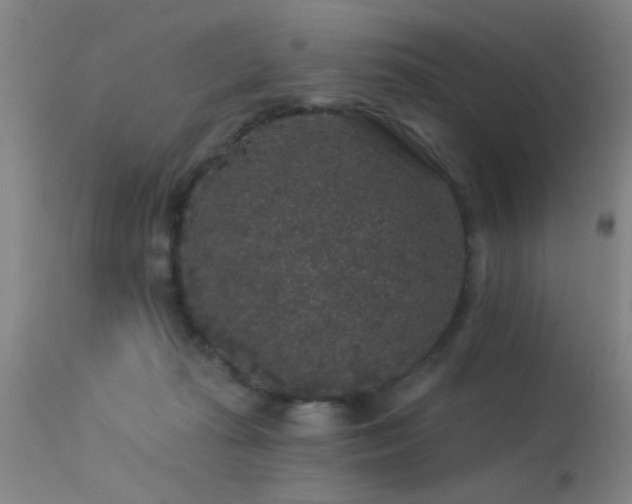 X0000113270269200909171720