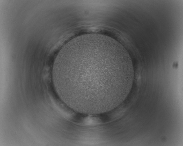 X0000113270270200909171720