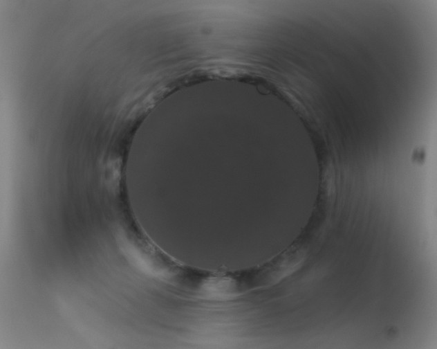 X0000113270271200909171720