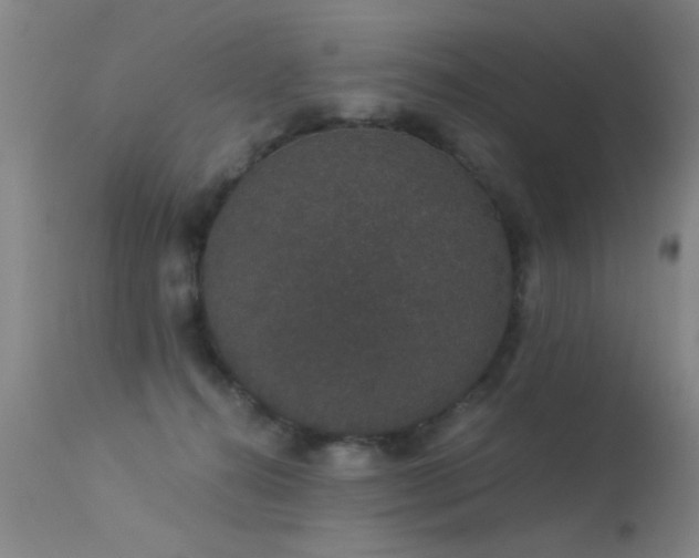 X0000113270272200909171720
