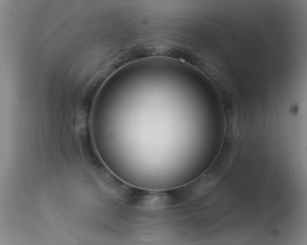 X0000113270274200909171720