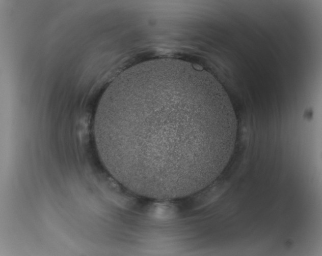 X0000113270275200909171720