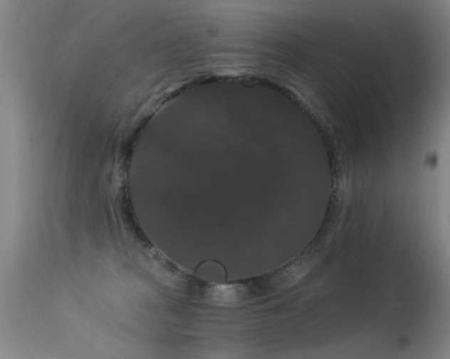 X0000113270277200909171720