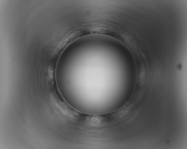 X0000113270282200909171720