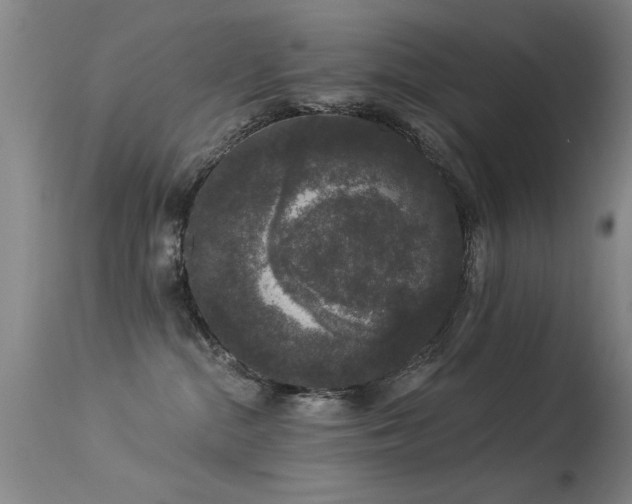 X0000113270284200909171720
