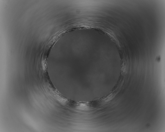 X0000113270285200909171720