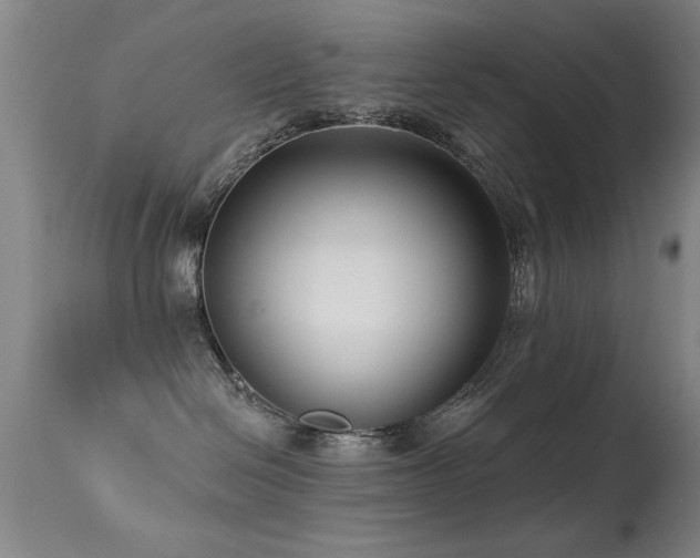 X0000113270286200909171720