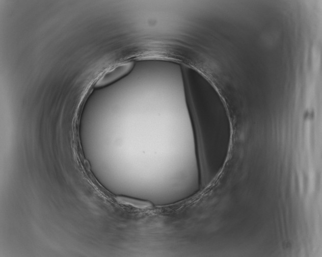 X0000113270289200909171720