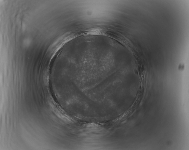 X0000113270290200909171720