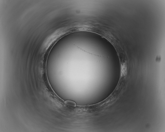 X0000113270291200909171720