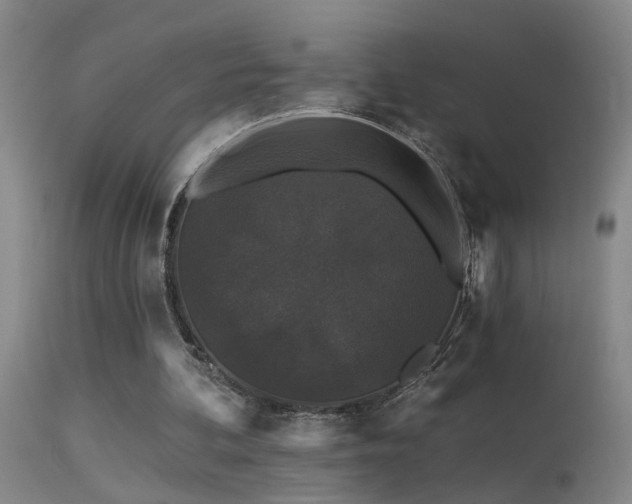 X0000113270292200909171720