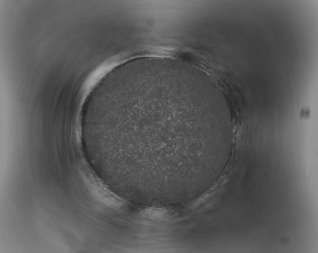 X0000113270294200909171720