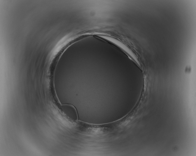 X0000113270295200909171720