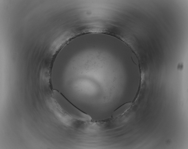 X0000113270297200909171720