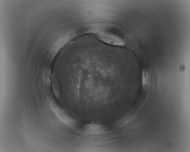 X0000113270300200909171720