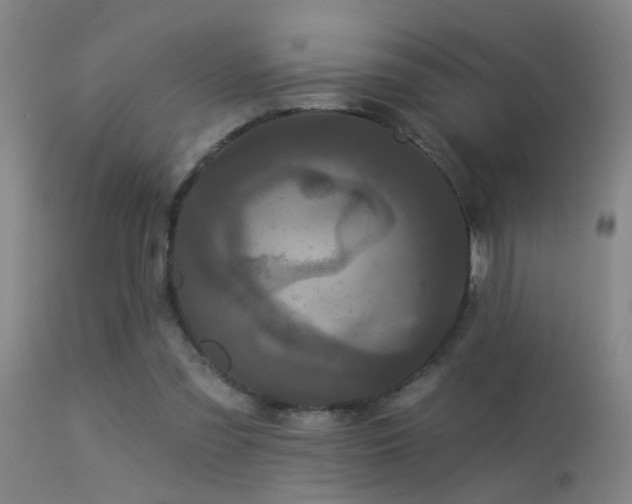 X0000113270301200909171719