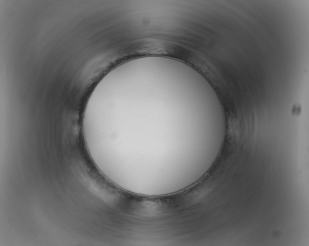 X0000113270302200909171719